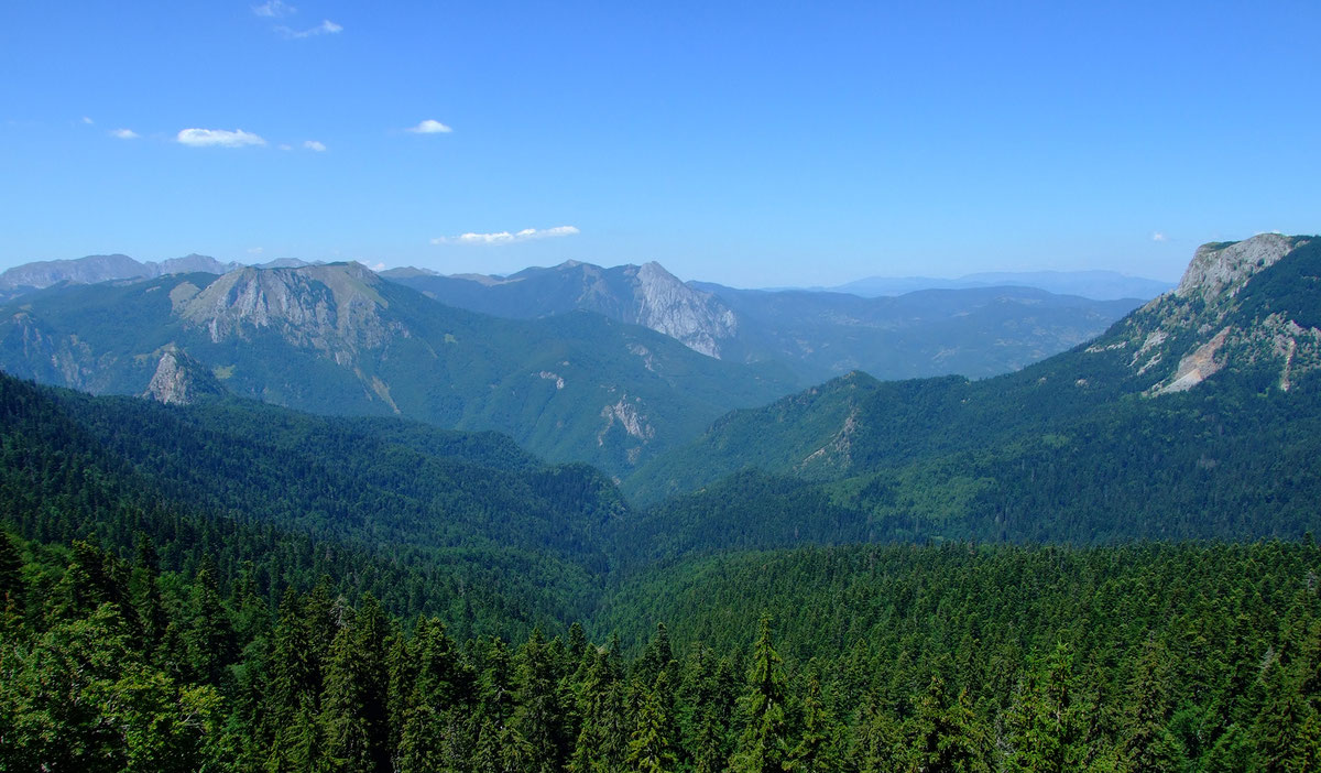 MINIĆ PRIJETI SMJENAMA  Poslovanje “Šuma Srpske” do kraja godine mora biti pozitivno