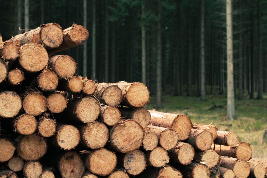 Proizvodnja šumskih sortimenata u Srpskoj manja od planiranog