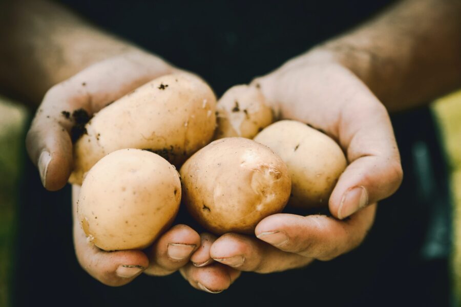 DOBAR SAVJET Evo kako da što brže skuvate krompir