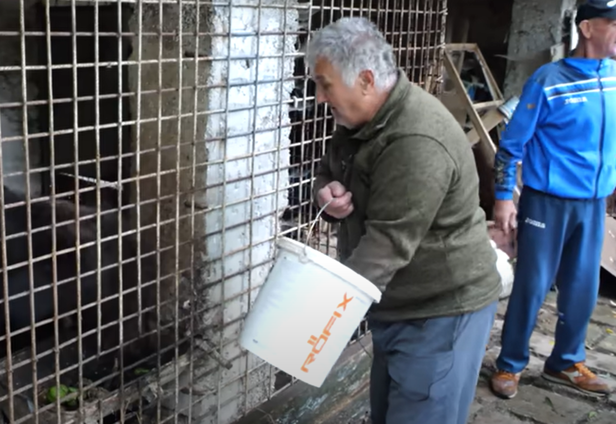 DOBIO SPOR PROTIV DRŽAVE Penzioner Emin već 17 godina hrani dva medvjeda (VIDEO)