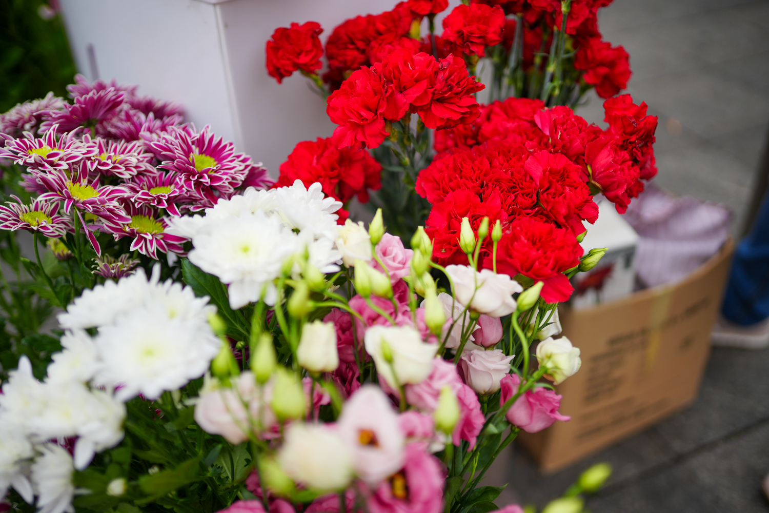 Kolumbija izvezla 700 miliona cvjetova za Dan zaljubljenih