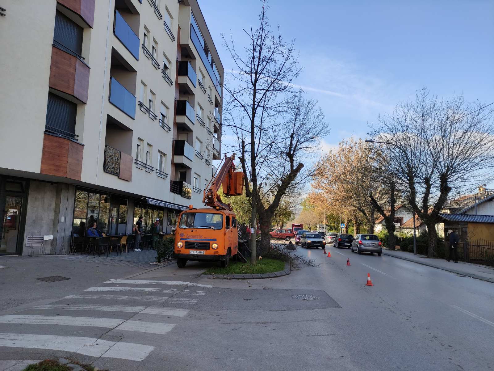 USKORO NOVA STABLA Počela rekonstrukcija drvoreda na Bulevaru Stepe Stepanovića (FOTO)