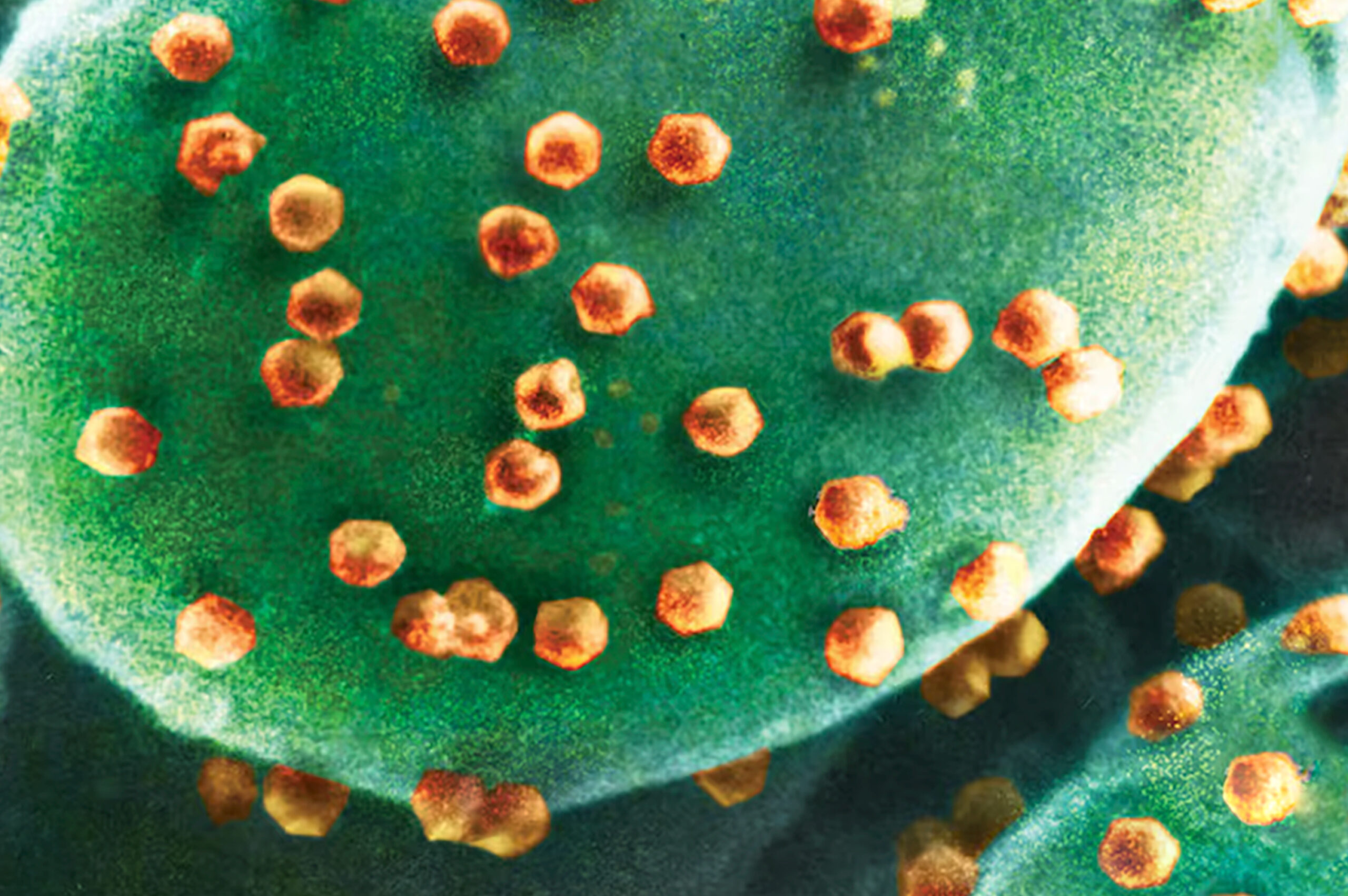 Prvi otkriveni “virovori”: Ovo je organizam koji jede viruse