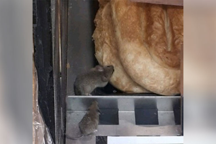 Banjalučka inspekcija u marketu ispraznila rafe zbog miševa među pitama