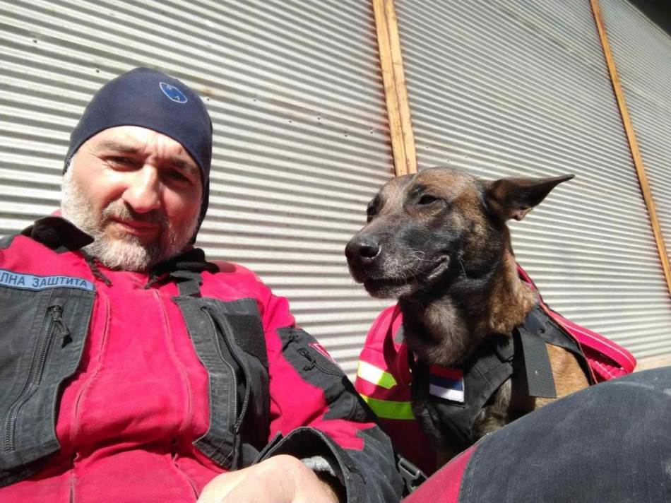 MIJENJA TRIDESET LJUDI Tora, pas tragač iz Banjaluke, neprocjenjiva pomoć spasiocima u Turskoj (FOTO)