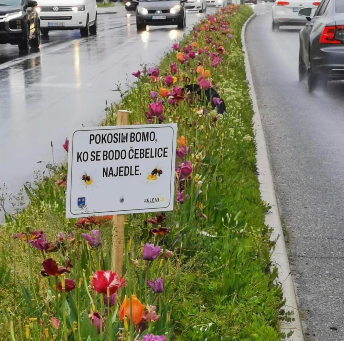 “KOSIĆEMO KAD SE PČELE NAJEDU” U Sloveniji imaju strpljenja za visoku travu (FOTO)