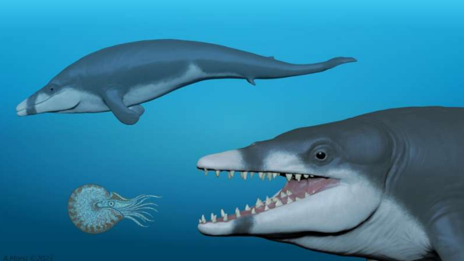 GOSPODAR MORA Pronađeni fosilni ostaci kita stari 41 milion godina