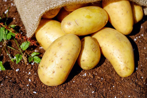 Koji je najskuplji krompir na svijetu